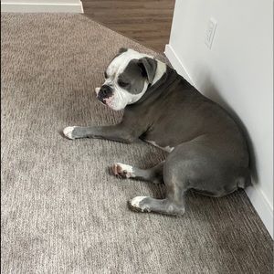 Meet your Posher, Steven